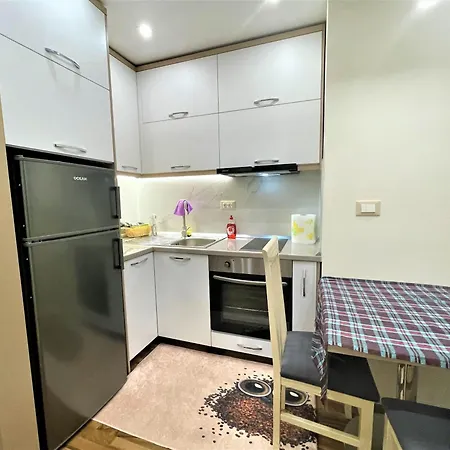 Apartment Skela *